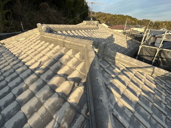 S__105635857_0_コピー