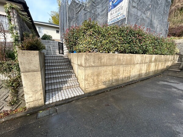 S__451043334_0_コピー