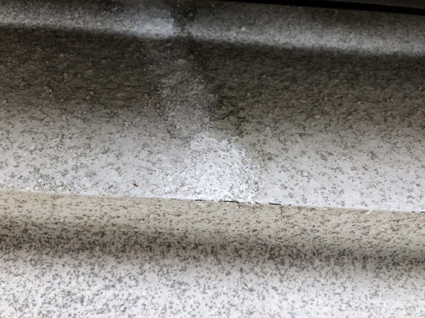 S__112410659_0_コピー