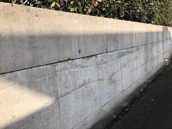 S__112410650_0_コピー