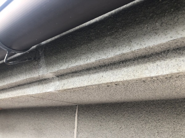 S__112410669_0_コピー