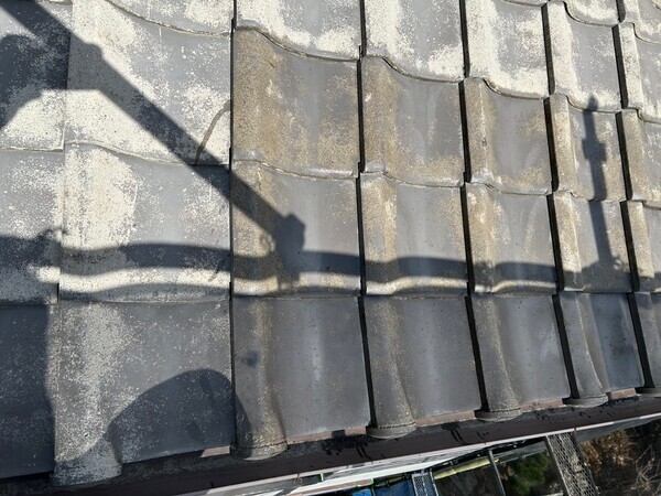 S__451698694_0_コピー