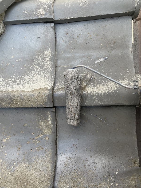 S__13623314_0_コピー