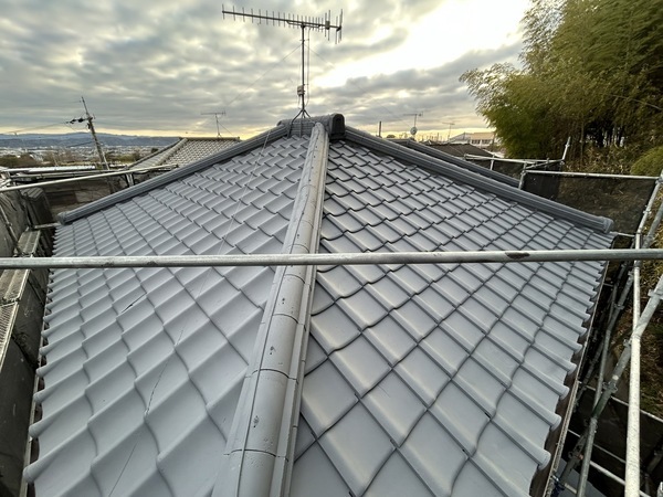 S__453386255_0_コピー