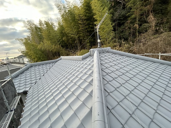 S__453386256_0_コピー