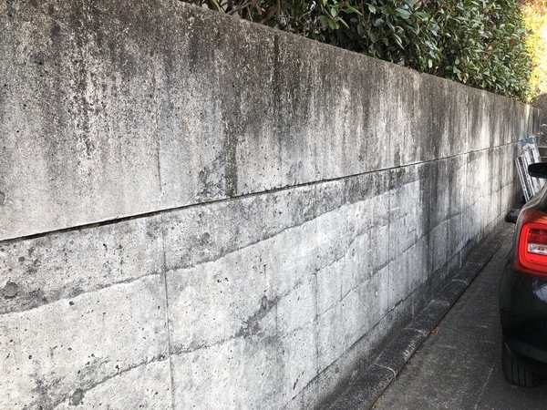 254F710B-54CF-4DEC-93B8-F289F40A44E9_コピー