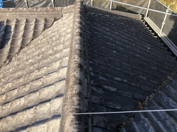 A1831D46-CF66-43E9-89A9-82F37B8830DE_コピー