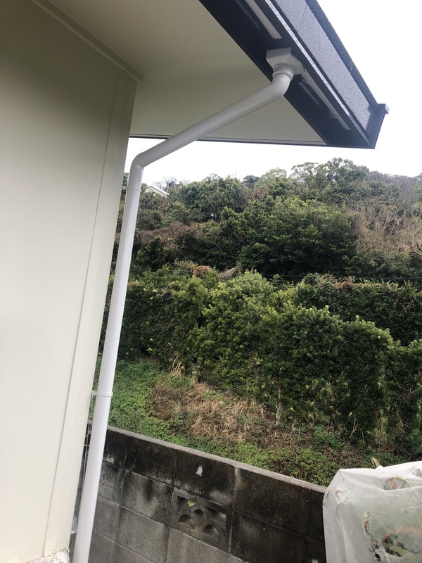 S__113172539_0_コピー