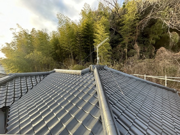 S__453623819_0_コピー