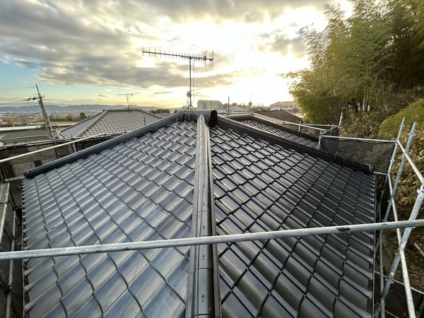 S__453623818_0_コピー