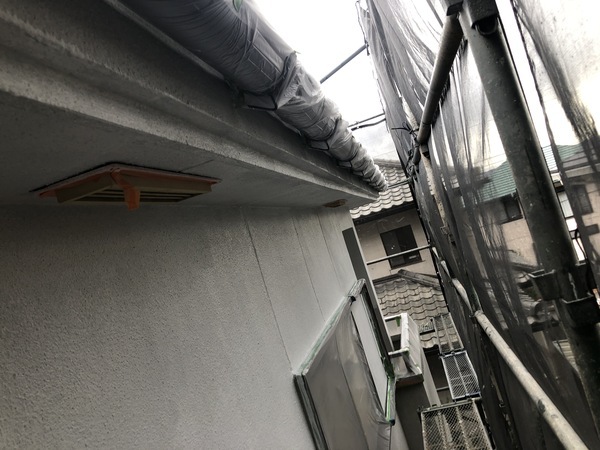 S__112812064_0_コピー