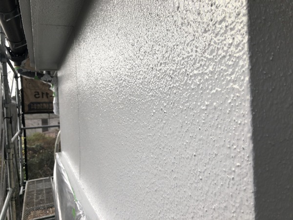 S__113172492_0_コピー