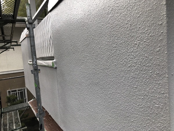 S__113172523_0_コピー