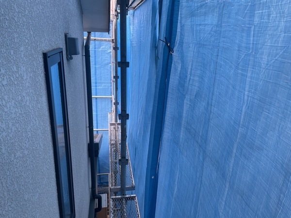 S__14286853_0_コピー