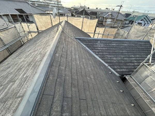 S__461889558_0_コピー