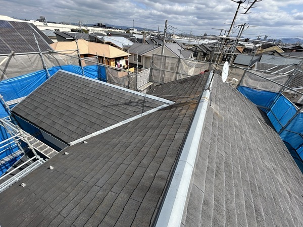 S__461889544_0_コピー