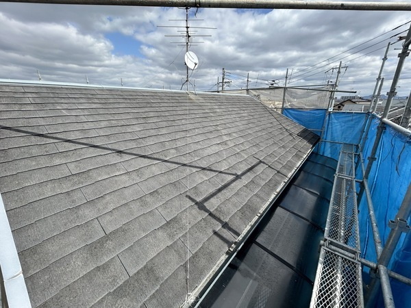 S__461889542_0_コピー