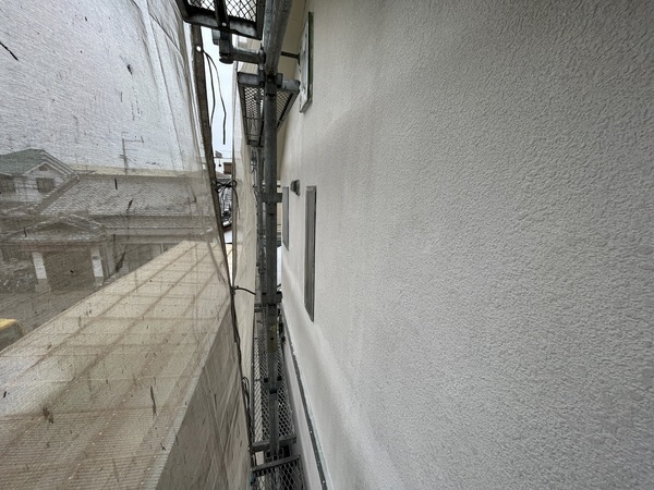 S__106250266_0_コピー