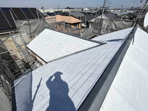 S__106250254_0_コピー