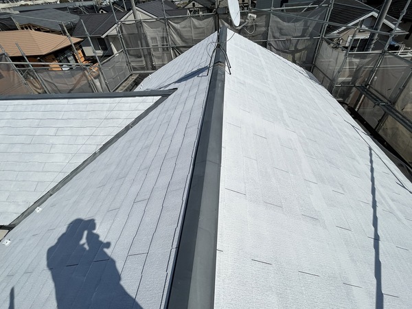 S__106250253_0_コピー