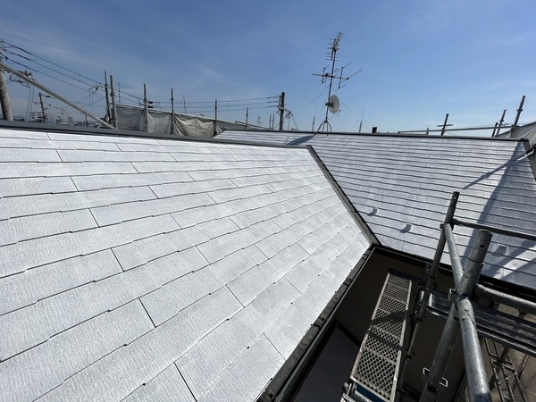 S__106250259_0_コピー