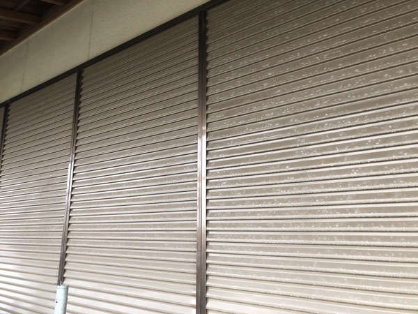 S__114655253_0_コピー