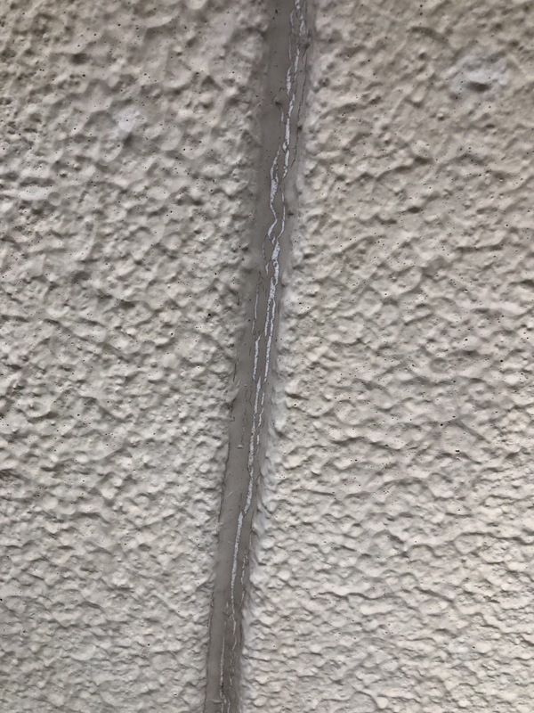 S__114655257_0_コピー