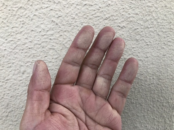 S__114655256_0_コピー