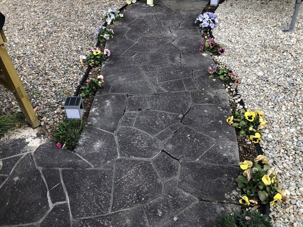 S__114655254_0_コピー