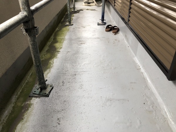 S__114655244_0_コピー