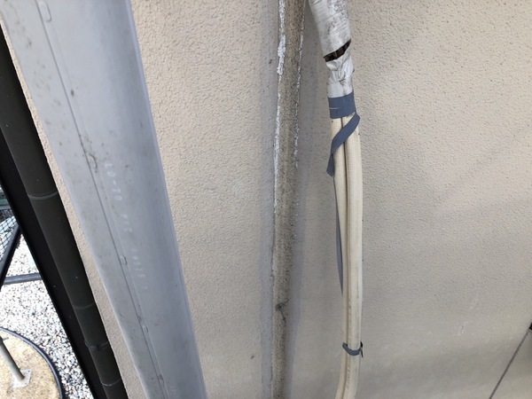 S__114655239_0_コピー