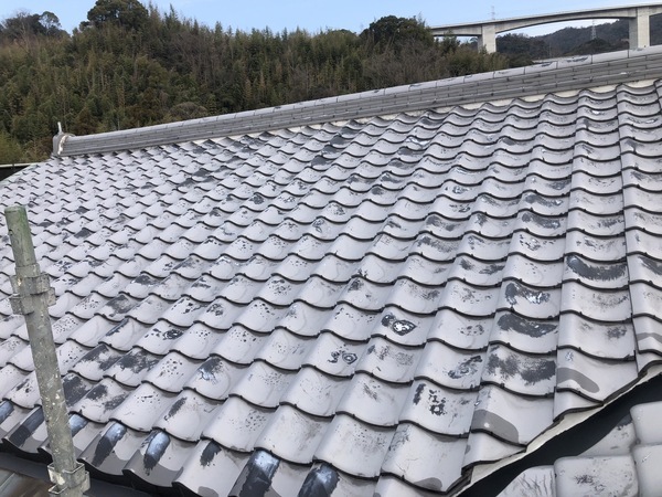 S__114655247_0_コピー