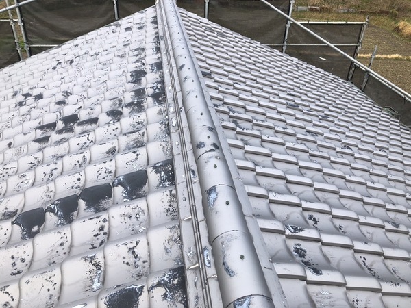 S__114655246_0_コピー