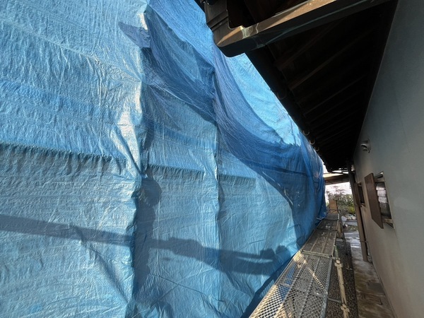 S__46129165_0_コピー