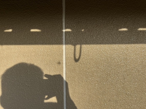 S__46186532_コピー