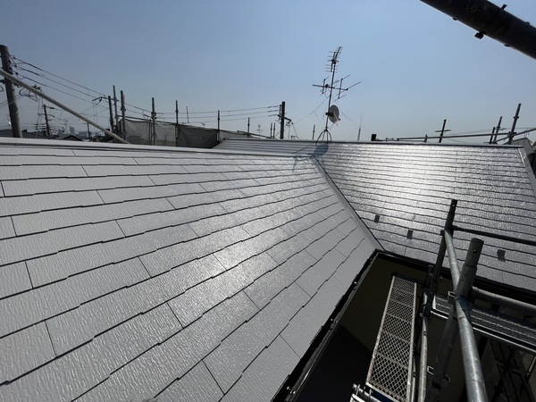 S__106389509_0_コピー