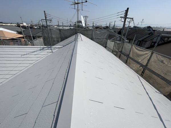 S__106389508_0_コピー