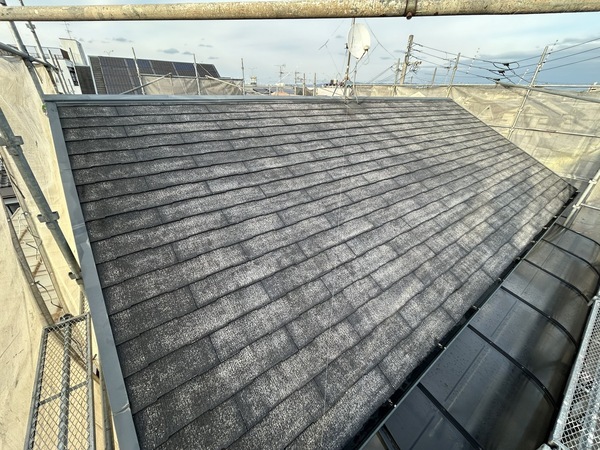 S__461889555_0_コピー