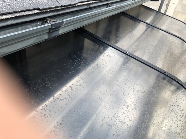 8AFF2528-4BC8-4959-85F5-46D1E28022B5_コピー