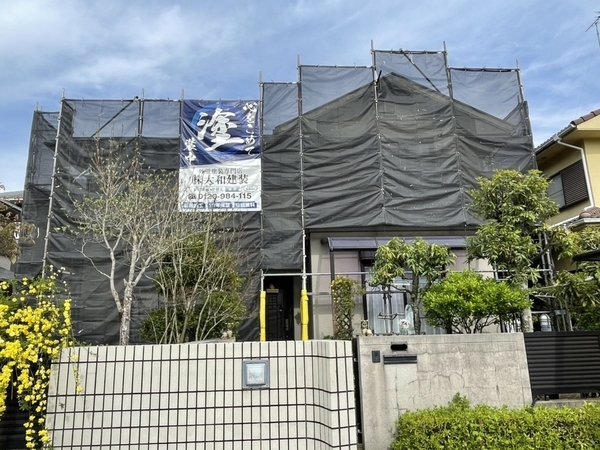 S__199442439_new_コピー