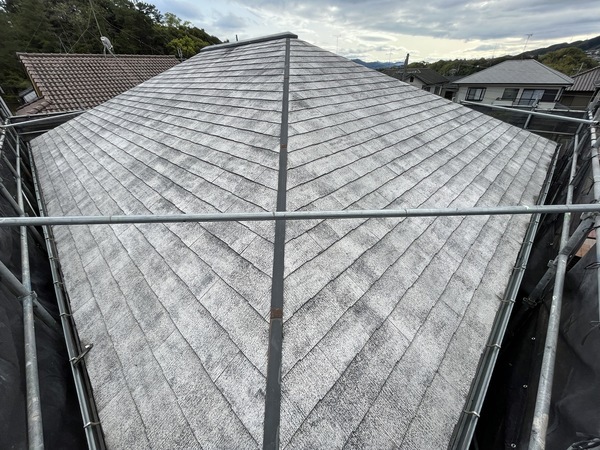 S__107274244_コピー