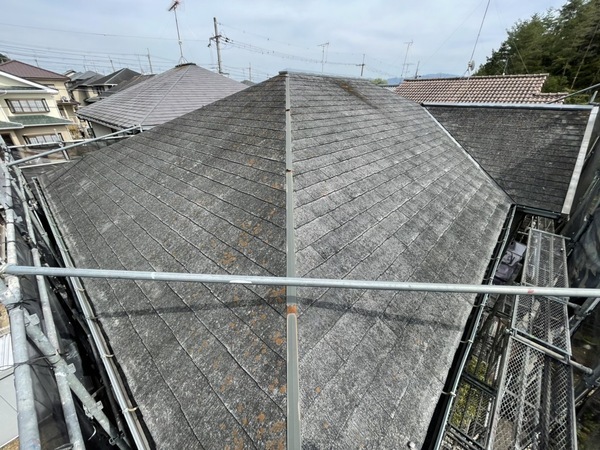 S__199442443_コピー