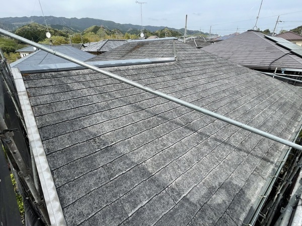 S__199442444_コピー