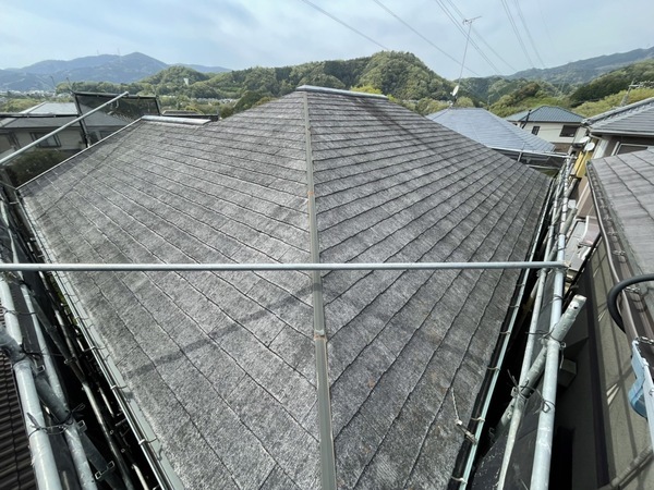 S__199442445_コピー