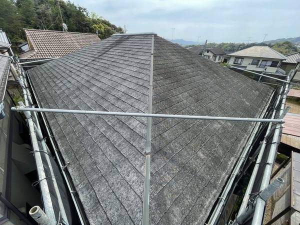 S__199442446_コピー