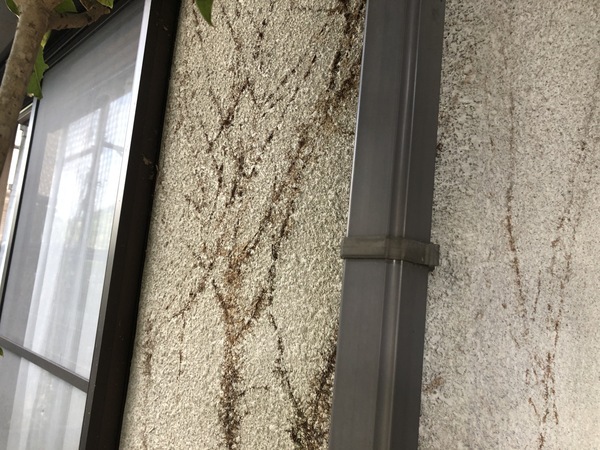 25C6A3B0-EDD7-4FF3-AAC9-87DC5F5D115A_コピー