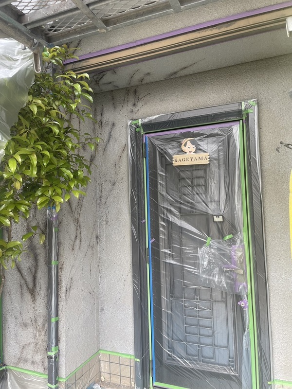 S__25468971_0_コピー