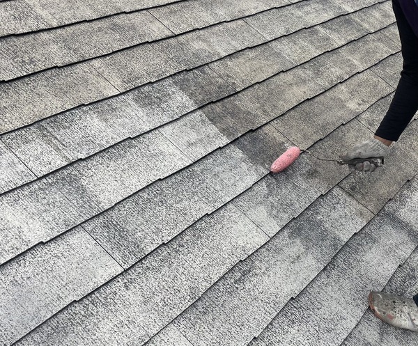 S__25468980_0_コピー