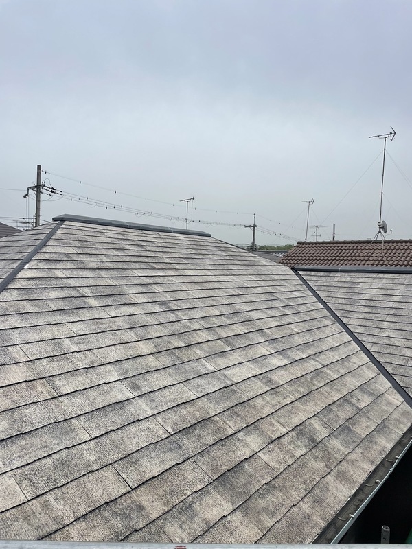 S__25468985_0_コピー