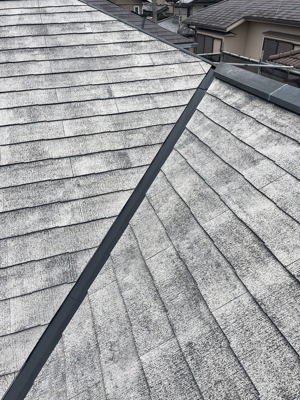 S__25468992_0_コピー